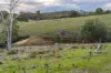 1316 Bundalah Road, Euchareena, NSW 2866-Image