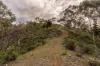 1316 Bundalah Road, Euchareena, NSW 2866-Image
