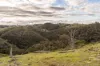 1316 Bundalah Road, Euchareena, NSW 2866-Image