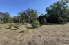 132 Giants Creek Road, Giants Creek, NSW 2328-Image