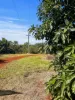 1322 Nukku Mt-Binga Road, Mount Binga, Qld 4314-Image
