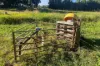 1322 Nukku Mt-Binga Road, Mount Binga, Qld 4314-Image
