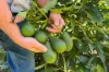1322 Nukku Mt-Binga Road, Mount Binga, Qld 4314-Image