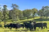 1322 Nukku Mt-Binga Road, Mount Binga, Qld 4314-Image