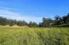 1322 Nukku Mt-Binga Road, Mount Binga, Qld 4314-Image
