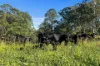 1322 Nukku Mt-Binga Road, Mount Binga, Qld 4314-Image