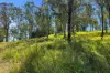 1322 Nukku Mt-Binga Road, Mount Binga, Qld 4314-Image