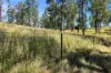 1322 Nukku Mt-Binga Road, Mount Binga, Qld 4314-Image