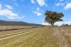 133 Langworthys Lane, Manilla, NSW 2346-Image
