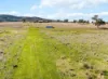 133 Langworthys Lane, Manilla, NSW 2346-Image