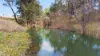 133 Langworthys Lane, Manilla, NSW 2346-Image