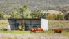 133 Langworthys Lane, Manilla, NSW 2346-Image