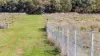 133 Langworthys Lane, Manilla, NSW 2346-Image