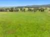 133 Sheep Station Road, Cowra, NSW 2794-Image
