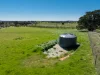 1334 Millthorpe Road, Millthorpe, NSW 2798-Image