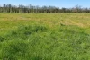1334 Millthorpe Road, Millthorpe, NSW 2798-Image