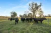 1338  Highland Way, Wingello, NSW 2579-Image