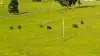 1339 Beechmont Road, Beechmont, Qld 4211-Image
