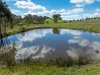 134 Lemmons Road Borenore via, Orange, NSW 2800-Image