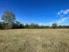 135, Innooroolbar Road, Boompa, Qld 4621-Image