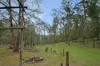 135 Kangaroo Trk, Omeo, Vic 3898-Image