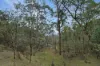 135 Kangaroo Trk, Omeo, Vic 3898-Image