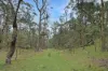 135 Kangaroo Trk, Omeo, Vic 3898-Image