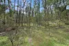 135 Kangaroo Trk, Omeo, Vic 3898-Image