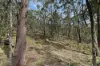 135 Kangaroo Trk, Omeo, Vic 3898-Image