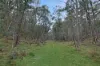 135 Kangaroo Trk, Omeo, Vic 3898-Image