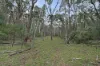 135 Kangaroo Trk, Omeo, Vic 3898-Image