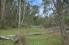135 Kangaroo Trk, Omeo, Vic 3898-Image