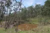 135 Kangaroo Trk, Omeo, Vic 3898-Image