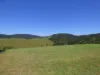 135 Ruggs Road, Nethercote, NSW 2549-Image
