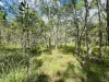 1350 Laceys Road, South Isis, Qld 4660-Image