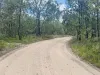 1350 Laceys Road, South Isis, Qld 4660-Image