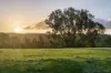 1355 Green Gully  Road, Glenlyon, Vic 3461-Image