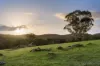 1355 Green Gully  Road, Glenlyon, Vic 3461-Image