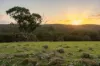1355 Green Gully  Road, Glenlyon, Vic 3461-Image