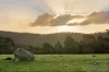 1355 Green Gully  Road, Glenlyon, Vic 3461-Image