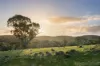 1355 Green Gully  Road, Glenlyon, Vic 3461-Image