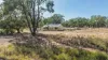 136 Bilamurru Road, Mendooran, NSW 2842