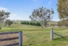 136 Sutherland Drive, Georges Plains, NSW 2795-Image
