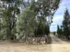 1363 Howell Road, Howell, NSW 2360-Image