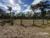 1363 Howell Road, Howell, NSW 2360-Image