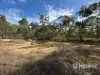 1363 Howell Road, Howell, NSW 2360-Image