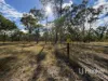 1363 Howell Road, Howell, NSW 2360-Image