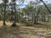 1363 Howell Road, Howell, NSW 2360-Image