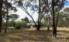 1363 Howell Road, Howell, NSW 2360-Image