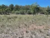1364 Giants Creek Road, Sandy Hollow, NSW 2333-Image